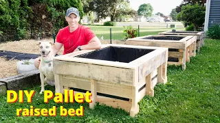 DIY wood Pallet raised bed (step by step)