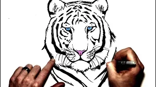 How to Draw a White Tiger | Step By Step