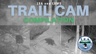 Trail Cam - LRMS Porcupine Den Winter 2024