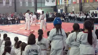 Selección coreana GTA de exhibición. 1er torneo sudamericano de tae kwon do GTA. Buenos Aires 6/8/22