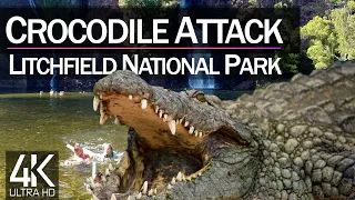 🇦🇺 WANGI FALLS 🐊 Rush after MAN ATTACKED BY CROCODILE 😱😱😱 AUSTRALIA Litchfield National Park July 10