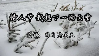 情人节 我希望下一场大雪 朗诵：园园 老黑鱼, I wish to have a snow storm at Valentine's Day