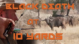 Cape Buffalo Bowhunting! - Short Film