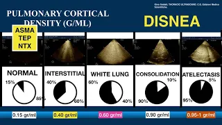 ULTRASONIDO PULMONAR EN DISNEA AGUDA.