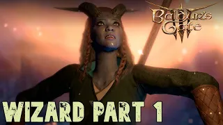 Baldur's Gate 3 - Gameplay - Wizard (no commentary) [Part 1]