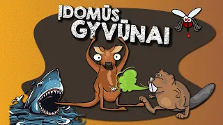 Įdomūs gyvūnai || Dabar žinai # 16