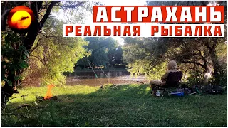 Вот ОНА Реальная Рыбалка в Астрахани / ПРИЕХАЛ НА РЕКУ В ЛЕС