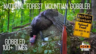 Public Land Gobbler Falls From The Bluff! Gobbles 100+ Times On The National Forest! TURKEY CAMP 24