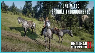 Unlimited Brindle Thoroughbred, for Brindle lovers!