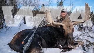 Alberta Shiras Moose Hunt | Worldwide Trophy Adventures