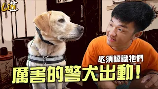 首次登場！厲害的警犬出動啦 必須認識牠們『香蕉』