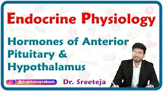 Hormones of Anterior pituitary and Hypothalamus : Endocrine physiology USMLE Step 1