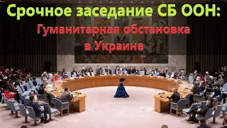 В СБ ООН 6 декабря: Срочное заседание по ситуации в Украине (русский перевод, тайминг)