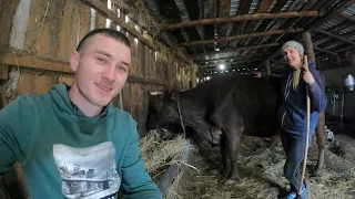 Прибирання в корівнику!🐮😁 Та маленькі плани на Майбутнє!🤔😮