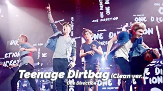 [ENG/KOR] One Direction - Teenage Dirtbag (Clean ver.) (Live)