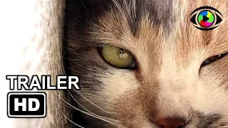 KEDI Trailer (2017) | Documentary Movie