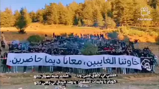 اغنية جديدة من Ultras Green Corsairs ☠️ التابعة لنادي مولودية الجزائر ❤️💚 قبل بداية الموسم الجديد