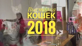 Выставка кошек в МВЦ, г. Киев. 19 мая 2018. Cats Show