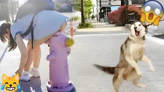 Random Funny Videos |Try Not To Laugh Compilation | Cute People And Animals Funny P23