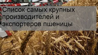 Список самых крупных производителей и экспортеров пшеницы
