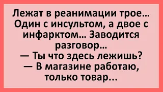 Лежат в реанимации трое, заводится разговор... Сборник смешных анекдотов! Юмор!