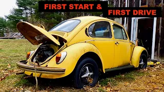 Will it Run and Drive? Forgotten Vw Beetle Found - First Start in Years!