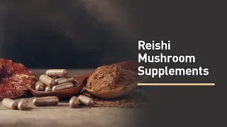 Everything You Need to Know About Reishi Mushroom