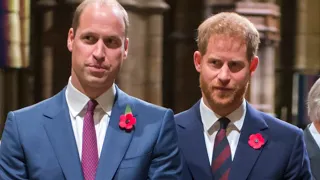 Why Harry And William Won't Walk Side By Side At Philip's Funeral