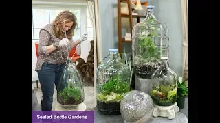 CLOSED TERRARIUM DIY : SEALED BOTTLE GARDENS 🌱 Closed Terrarium Plants 🌿Shirley Bovshow