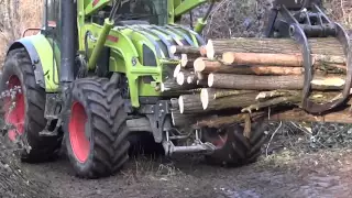 Caricatore Forestale F.lli Dalmasso al lavoro (Claas Arion 410)