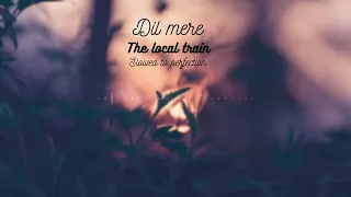DIL MERE  💗 (slowed + reverb) | THE LOCAL TRAIN | slowed to perfection | midnight chill sessions