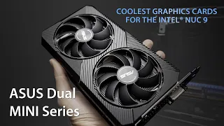 Dual MINI Series Graphics Cards​ - Coolest GPUs for the Intel NUC 9 | ASUS