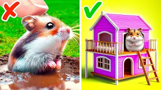 Construí um quarto em miniatura para meu hamster 💖 *Casa DIY para animais de estimação*