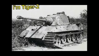 Tiger 2 edit