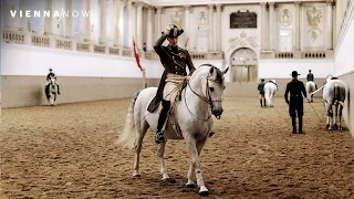 Spanish Riding School Vienna | VIENNA/NOW Sights