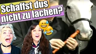 Schaffst dus nicht zu lachen? 0% CHANCE!! PFERDE EDITION