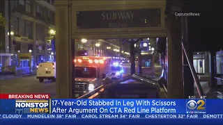 17-Year-Old Stabbed With Scissors After Argument On CTA Red Line Platform