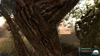 Дерево Агропром