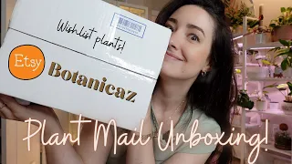 Unbox wishlist plants with me from Botanicaz! | Etsy plant mail unboxing