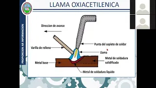 11.- TIPOS DE LLAMA 1