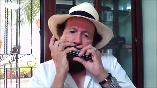 Il cuore è uno zingaro | Nicola di Bari | Harmonica by Harmonicalf