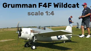 Grumman F4F Wildcat | 1:4 scale RC airplane | 4K | Nesvacily 2023