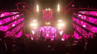 STEVE AOKI FT. DESIIGNER - MIC DROP REMIX LIVE AT DWP17