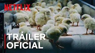 Intoxicación: La cruda verdad sobre nuestra comida | Tráiler oficial | Netflix