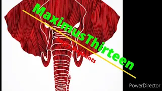 MaximusThirteen - Angry Elephants