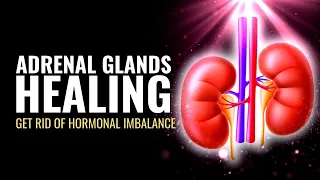 Balance Hormones Naturally: Adrenal Glands Healing: Get Rid of Hormonal Imbalance: 1335 Hz Frequency