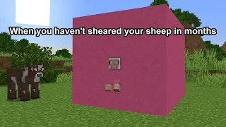 When you haven't sheared your Minecraft sheep in months