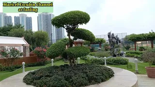 Viewing Small Park, at Fanling Hong Kong /By Maricel Escubin Channel