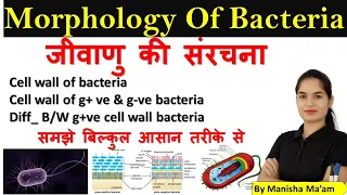 Morphology of Bacteria in hindi | Bacterial Structure | Bacteriology | Microbiology lecture