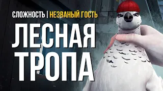 ПОСЛЕДНИЙ ЛОСЬ ► THE LONG DARK (НЕЗВАНЫЙ ГОСТЬ) # 11